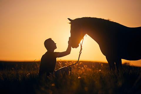 A cowboy looking after his horse in a field at sunset